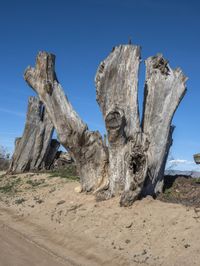 Desert Geology - Rock Formation in California 002