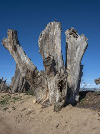 Desert Geology: Rock Formation in California 003