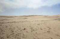 there is an image of desert landscape with sand dunes in the background for text space