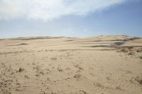 there is an image of desert landscape with sand dunes in the background for text space