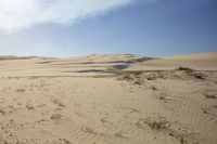 there is an image of desert landscape with sand dunes in the background for text space