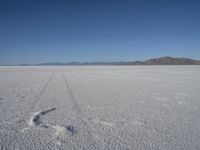 Salt Lake City, Utah: A Day in the Desert Landscape with Aeolian Landforms