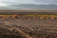 a lone red fire hydrant is standing in the desert near the mountains with sparse grass