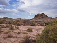 the hills of dry vegetation are near small bushes and bushes in the middle of the desert