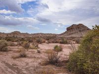 the hills of dry vegetation are near small bushes and bushes in the middle of the desert