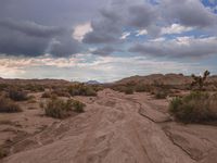 a desert area with some dirt and bushes, and the sky is partly cloudy over it