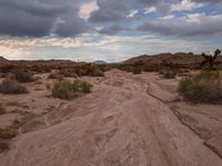 a desert area with some dirt and bushes, and the sky is partly cloudy over it