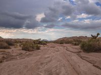 a desert area with some dirt and bushes, and the sky is partly cloudy over it