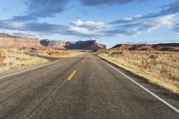 an empty desert road stretches from the vast open sky with a lone tree standing in the foreground