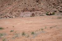 an animal is standing in the dirt and looking into the distance in front of some rocks