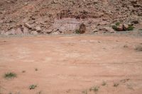 an animal is standing in the dirt and looking into the distance in front of some rocks