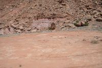 an animal is standing in the dirt and looking into the distance in front of some rocks