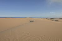 Desert Landscape with Clear Sky in Daytime