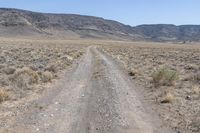 Desert Landscape in Colorado: Rugged Nature