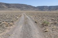 Desert Landscape in Colorado: Rugged Nature (002)