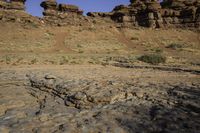 a dog is standing on rocks in the desert outside of a rocky canyon area with some brown and tan rocks