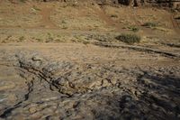 a dog is standing on rocks in the desert outside of a rocky canyon area with some brown and tan rocks