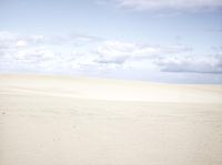 a lone horse is grazing on the plain in the middle of the sand dune dunes