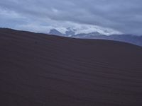 California Desert Landscape