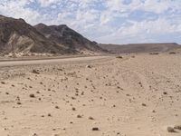 there is an empty desert field with rocks and grass on it including a lone horse