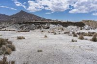 there are desert plants in this valley area with mountains in the background and blue sky