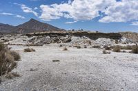 there are desert plants in this valley area with mountains in the background and blue sky