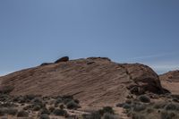 the dirt is very dirty and the plants are growing all around the area on the desert