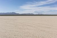 an empty desert landscape with sparse plants and mountains in the background on a sunny day