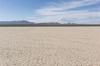 an empty desert landscape with sparse plants and mountains in the background on a sunny day