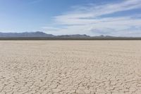 an empty desert landscape with sparse plants and mountains in the background on a sunny day