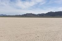 an empty desert landscape with sparse plants and mountains in the background on a sunny day