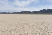 an empty desert landscape with sparse plants and mountains in the background on a sunny day