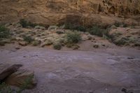 Desert Landscape at North Wash, Utah, USA