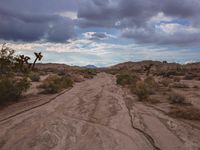 a large dirt road surrounded by scrubby and rocks under cloudy skies, with mountains and sparse plants