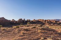 Desert Landscape: Vast Open Spaces and Clear Sky