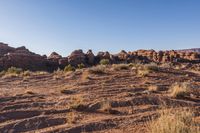 Desert Landscape: Vast Open Spaces and Clear Sky
