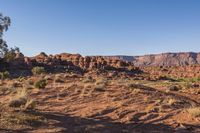 Desert Landscape: Vast Open Spaces and Clear Sky