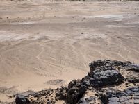 Desert Landscape: Sand, Dirt, and Rock Formations