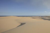 several small pieces of vegetation sit on top of sand dunes in the desert area of a vast ocean