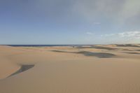 several small pieces of vegetation sit on top of sand dunes in the desert area of a vast ocean