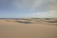 several small pieces of vegetation sit on top of sand dunes in the desert area of a vast ocean