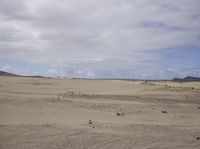 Desert Landscape: Sand Dunes in the Wilderness