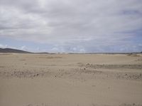 Desert Landscape: Sand Dunes in the Wilderness