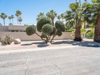 a desert landscape with two trees and many rocks sitting in the middle of it in front of a stucco house