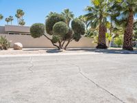 a desert landscape with two trees and many rocks sitting in the middle of it in front of a stucco house