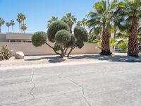 a desert landscape with two trees and many rocks sitting in the middle of it in front of a stucco house