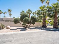 a desert landscape with two trees and many rocks sitting in the middle of it in front of a stucco house