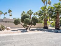 a desert landscape with two trees and many rocks sitting in the middle of it in front of a stucco house