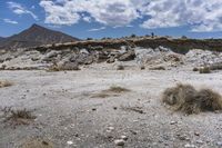 an image of a desert with very sparse ground and rock formations in the background of a vast mountainous area