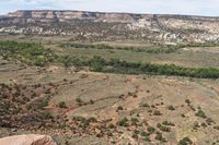 a view of a valley and a large cliff on the horizon with several trees growing and bushes in the foreground